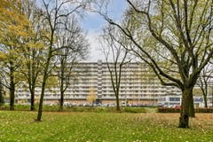 Hofgeest 103, 1102 EE Amsterdam 
